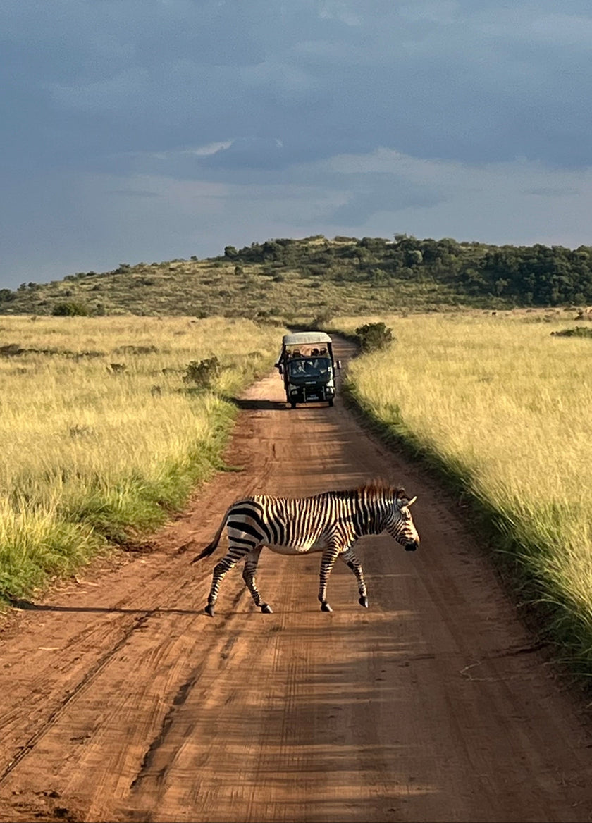 Zebra Airkitto Travel clothes vacation